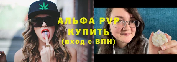спиды Гусь-Хрустальный